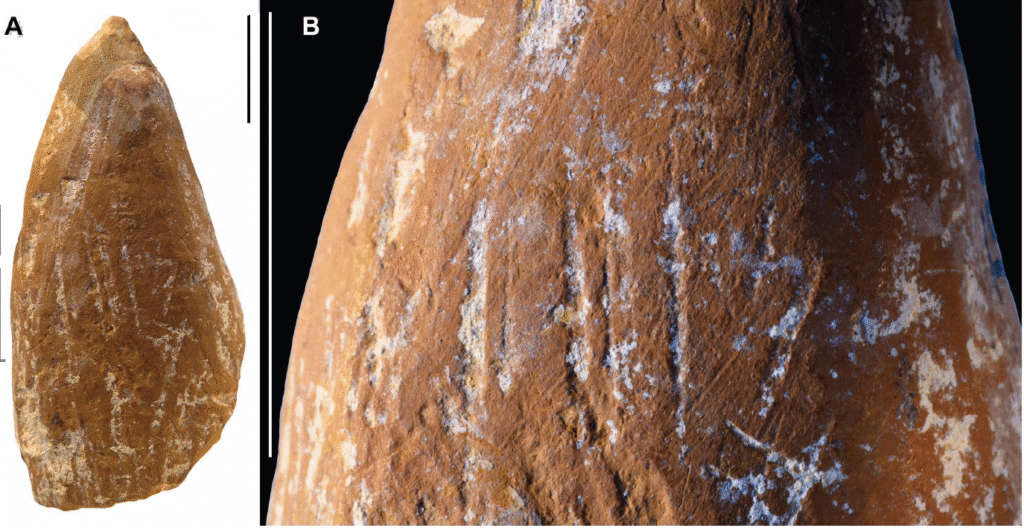 Photo of a yellow-brown rock with a pointed tip