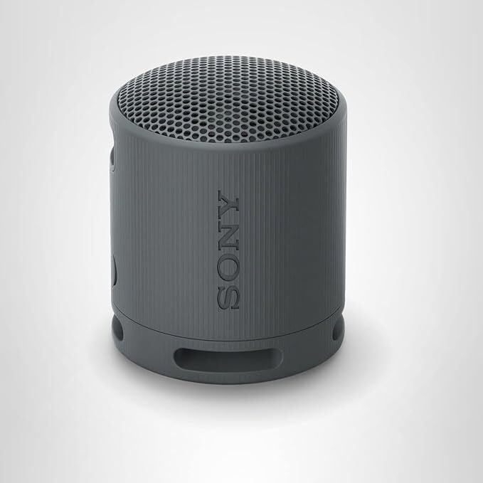 Sony SRS-XB100