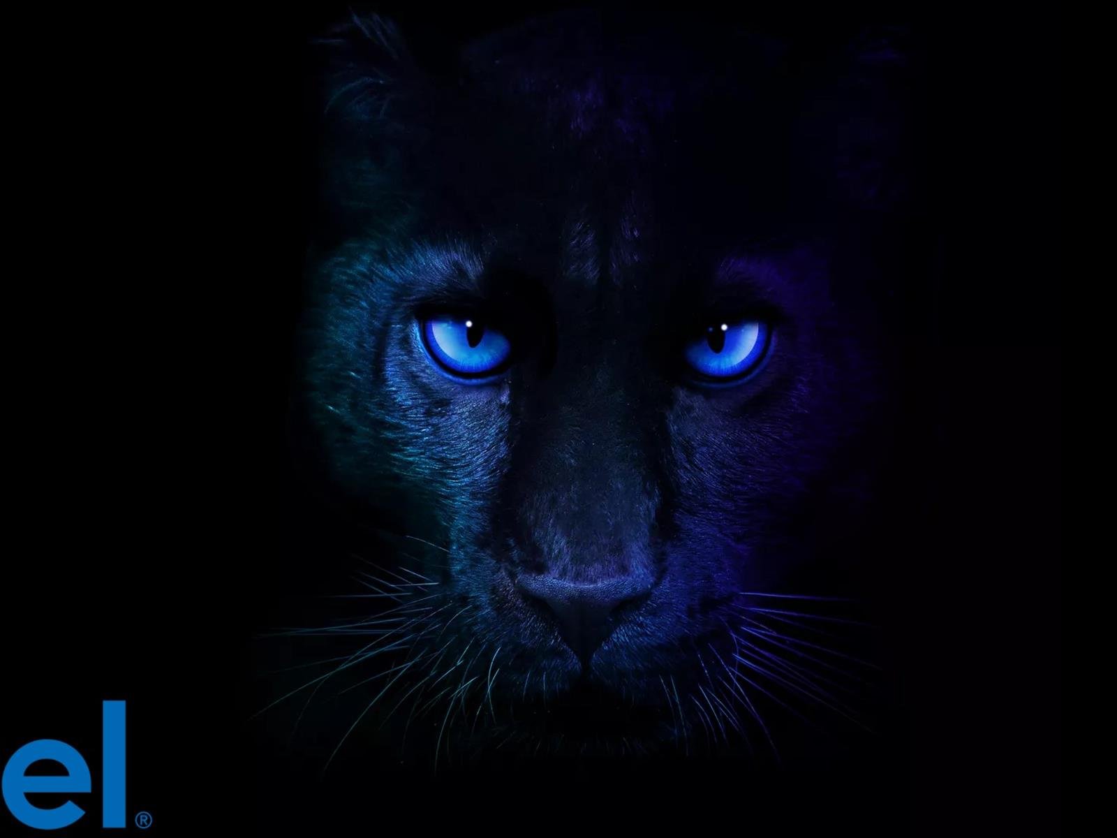 Intel Teases Panther Lake Launch As 18A Chip Yield Update Shows Strength