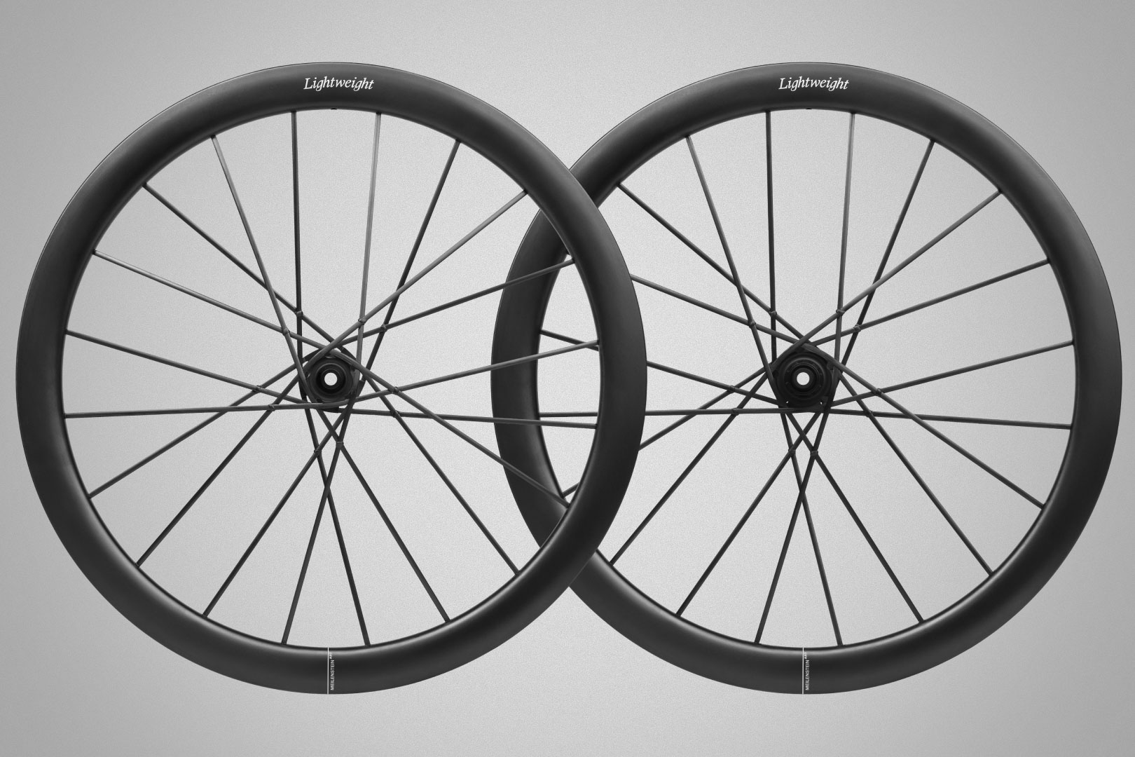 Lightweight Meilenstein wheels