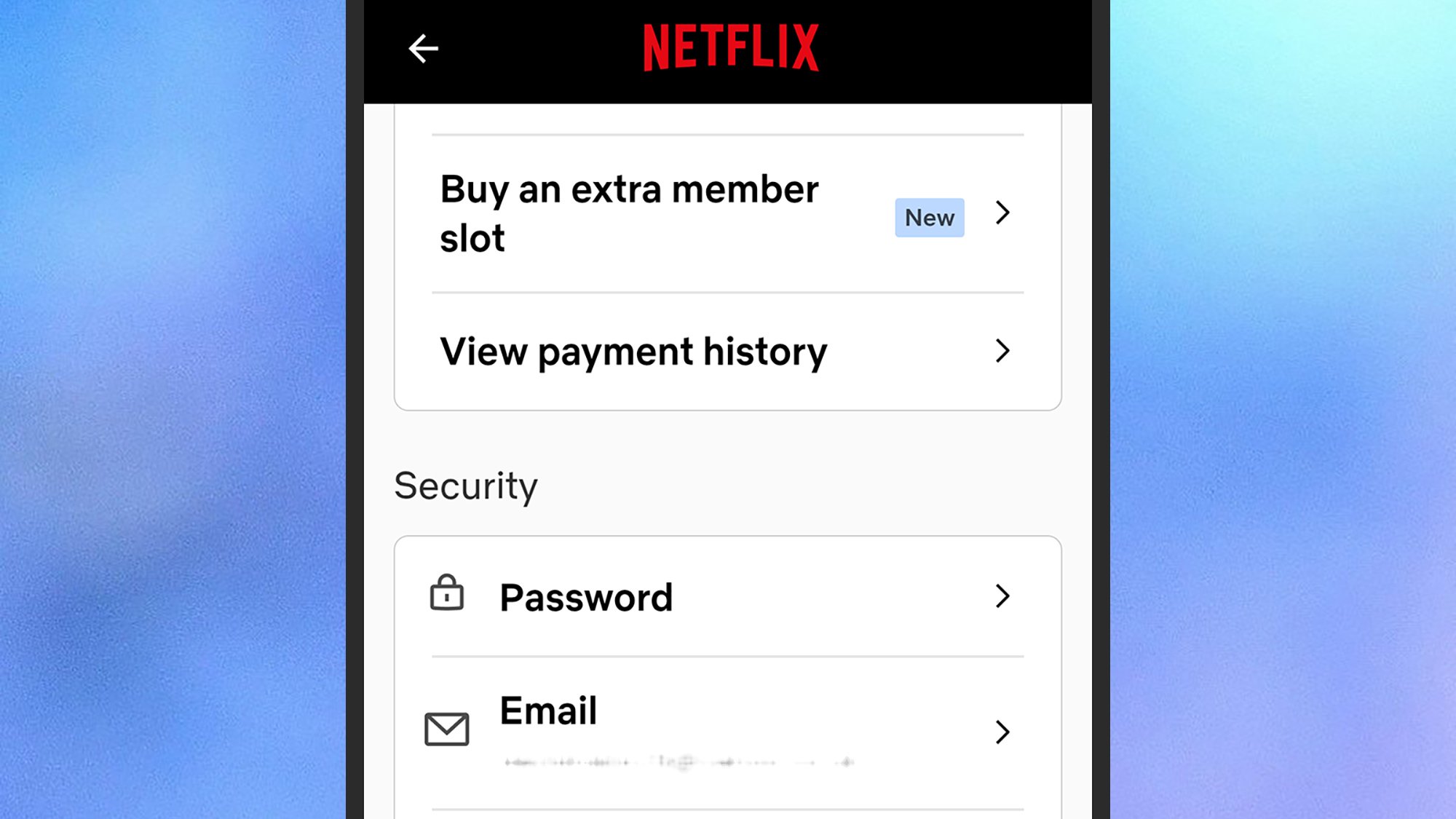 Netflix payments