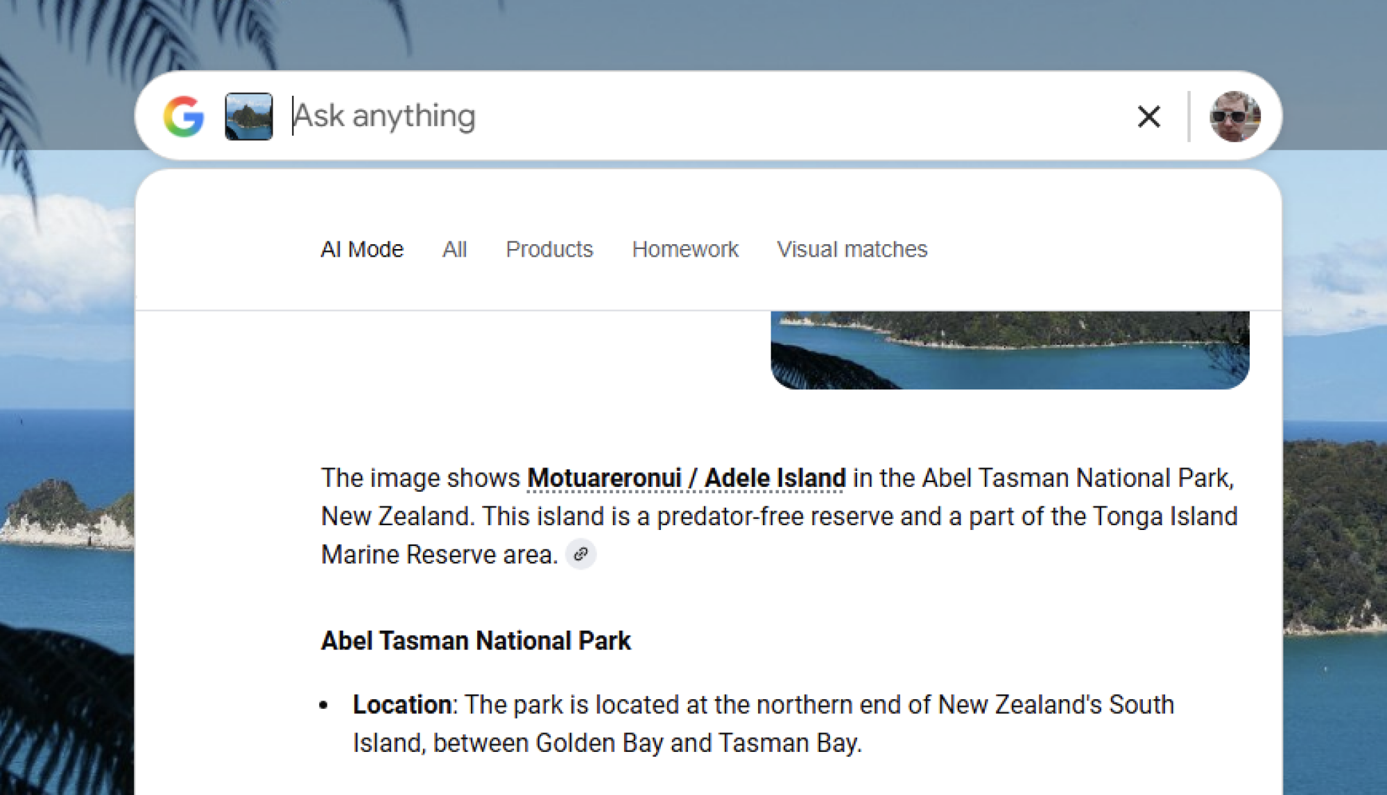 Google App for Windows correctly identifying a photo from New Zealand.
