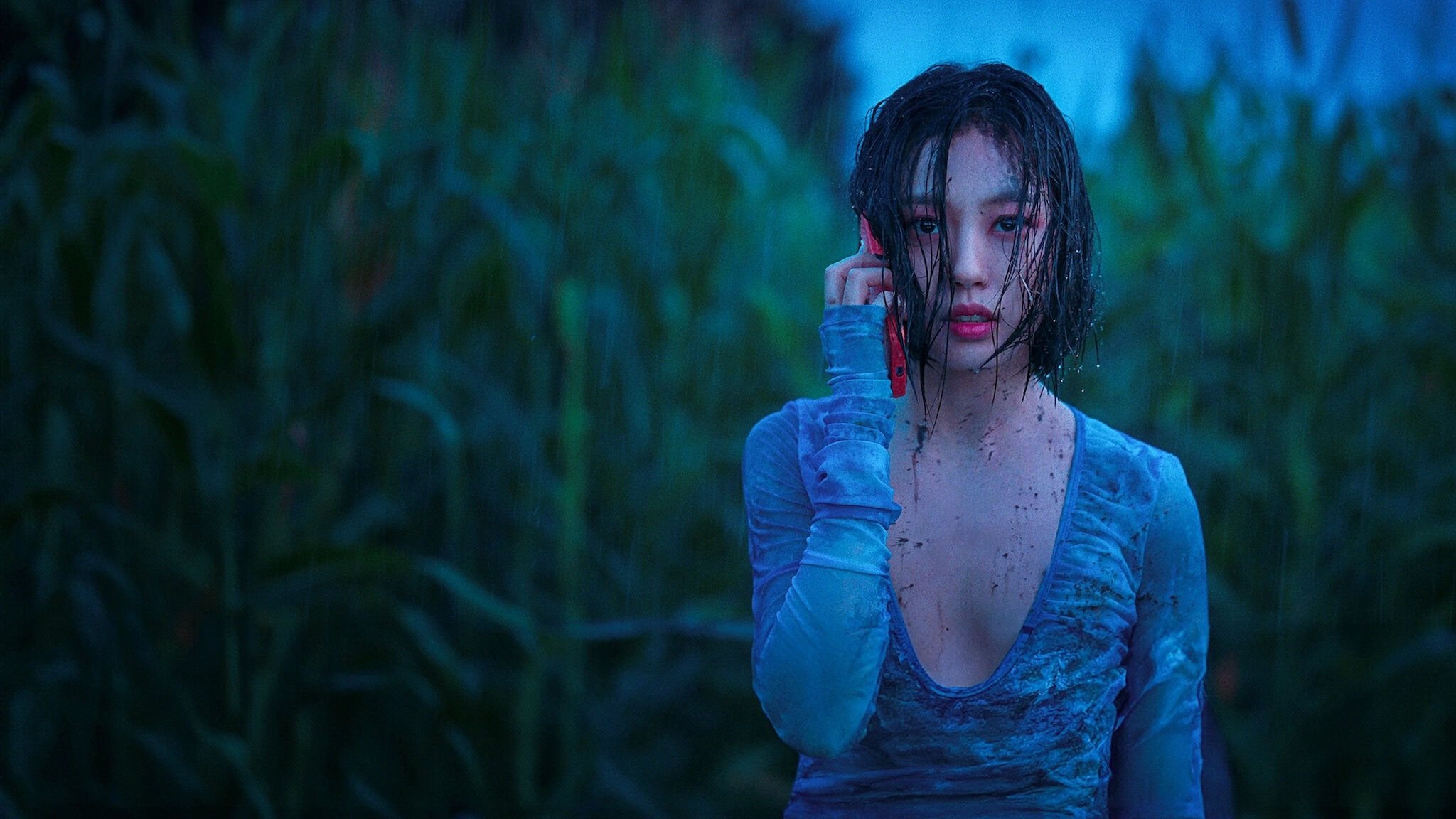 The Frog (2024)