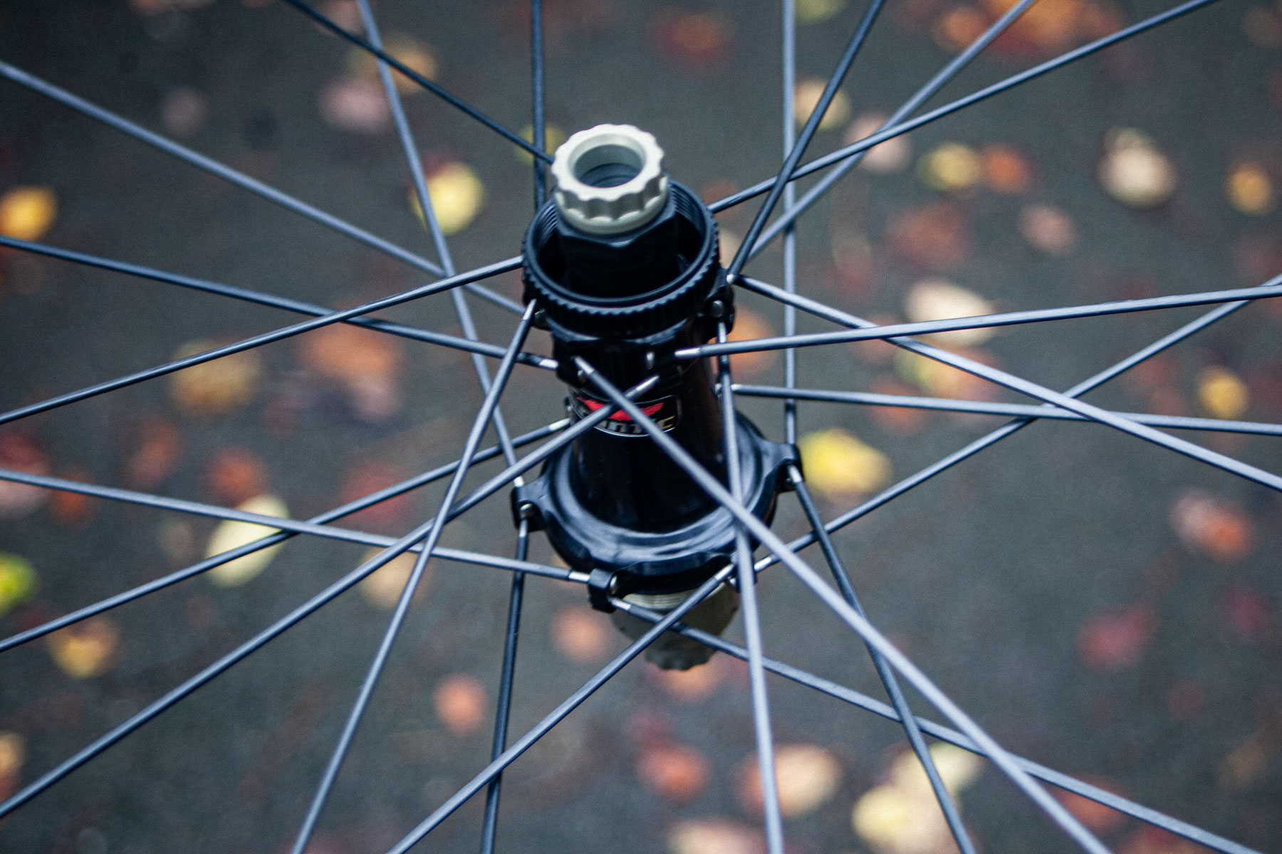 Extralite hubs with Hyper Ceramic bearings