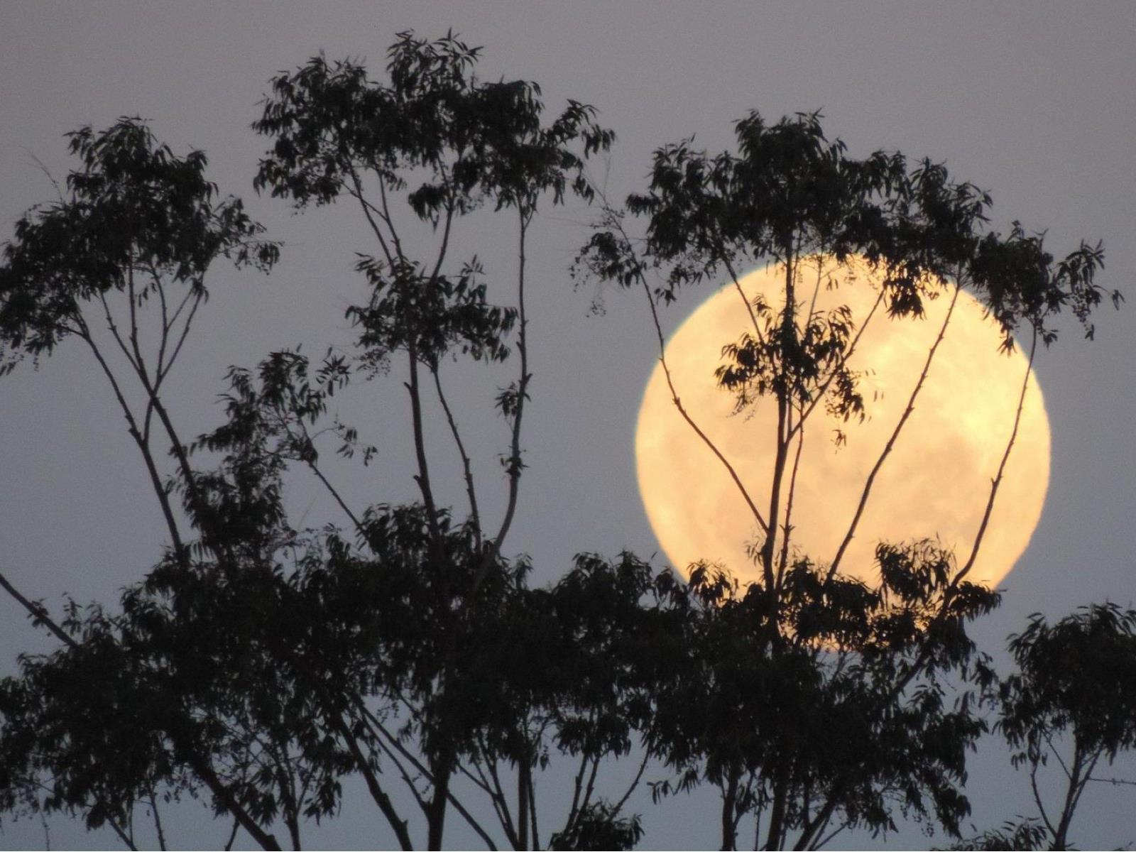 Don't Miss December's Full Cold Supermoon & Geminids Meteor Shower Spectacle