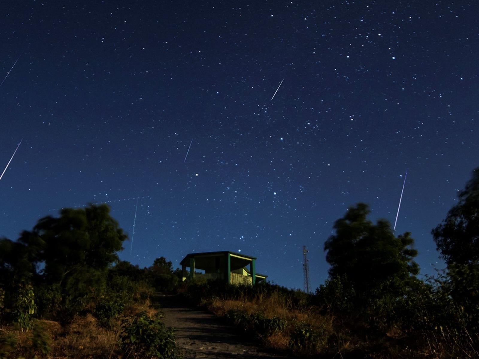 Geminids Meteor Shower Is Your Best Chance To Catch A Shooting Star
