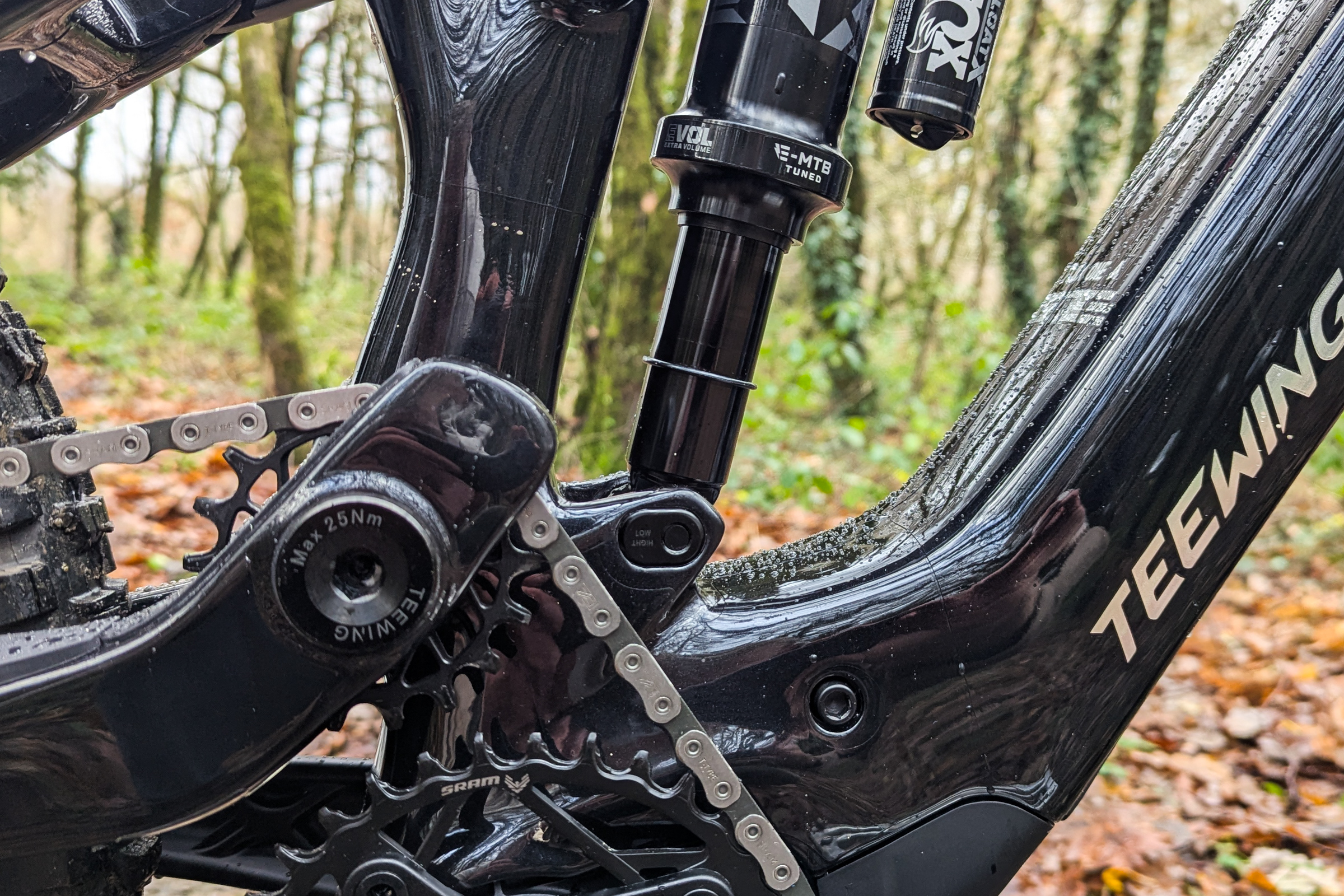 TeeWing Flux chainstay