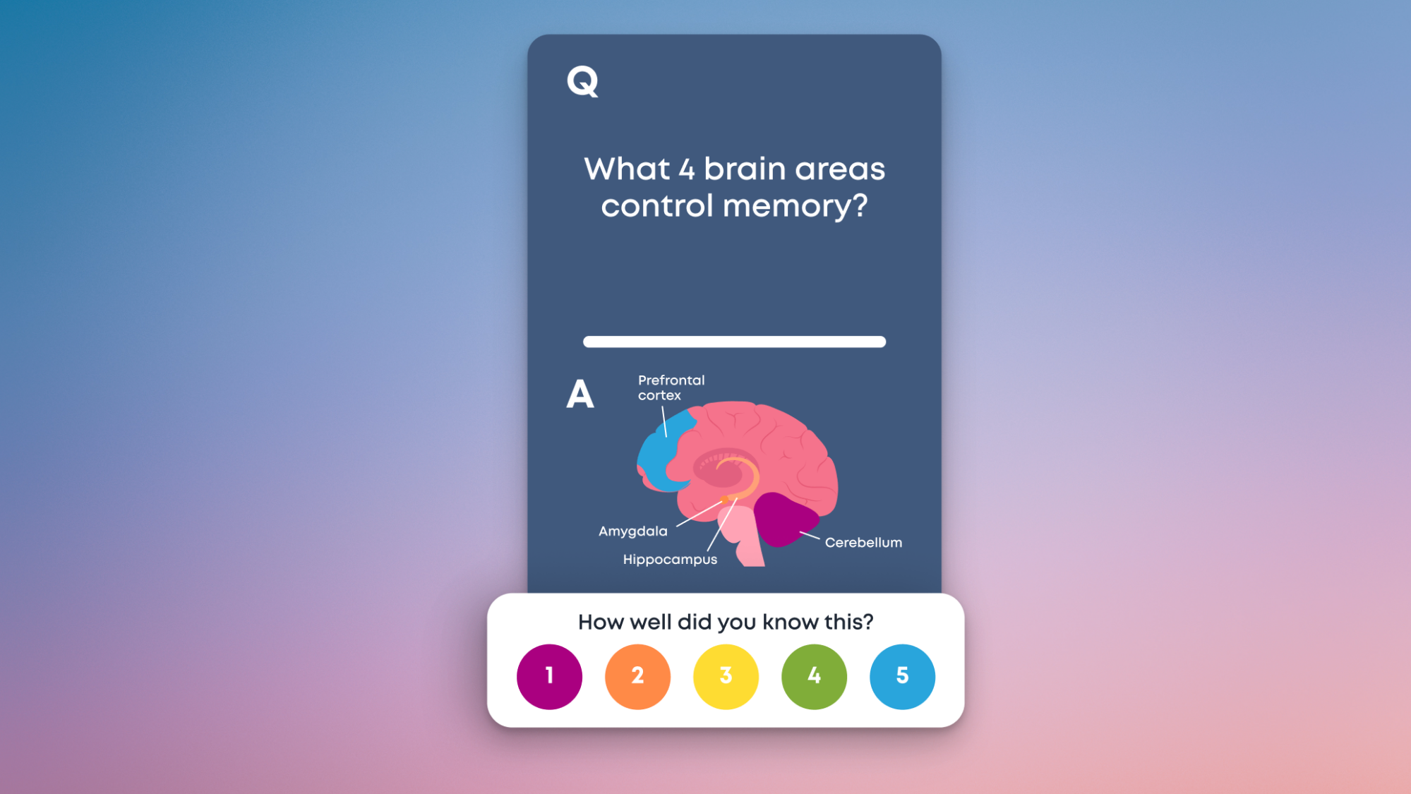 A flashcard in Brainscape.