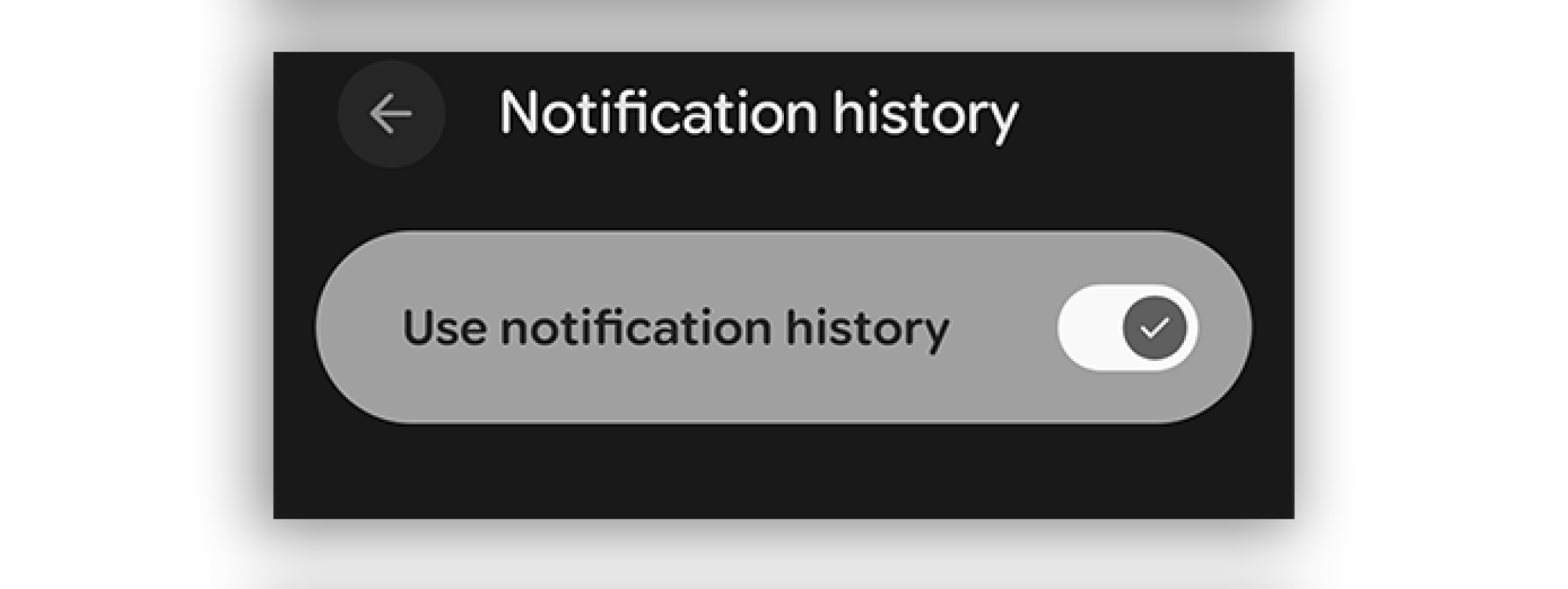 a screenshot showing the toggle to turn on Notification history