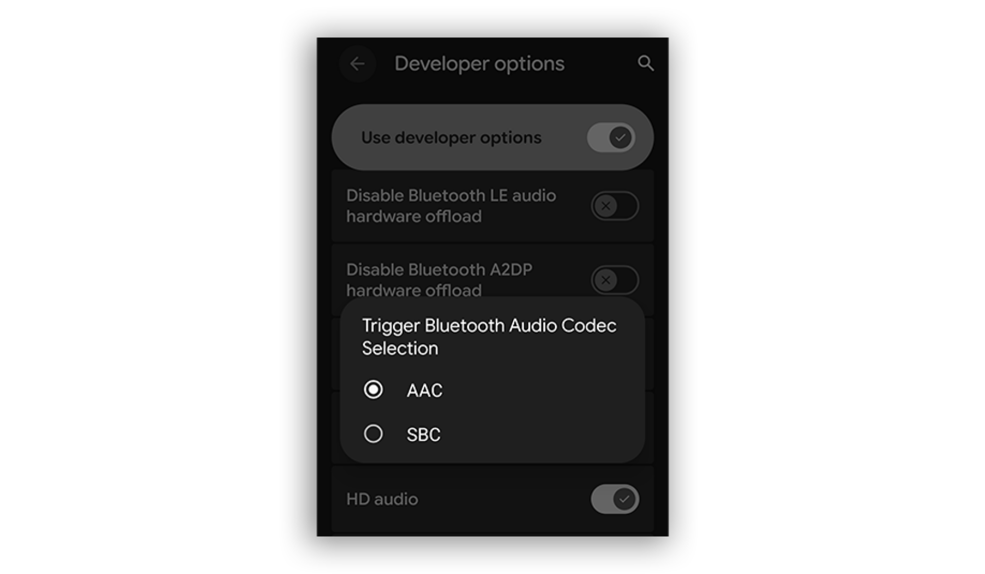 A screenshot showing where you can discover if there are other audio codecs available