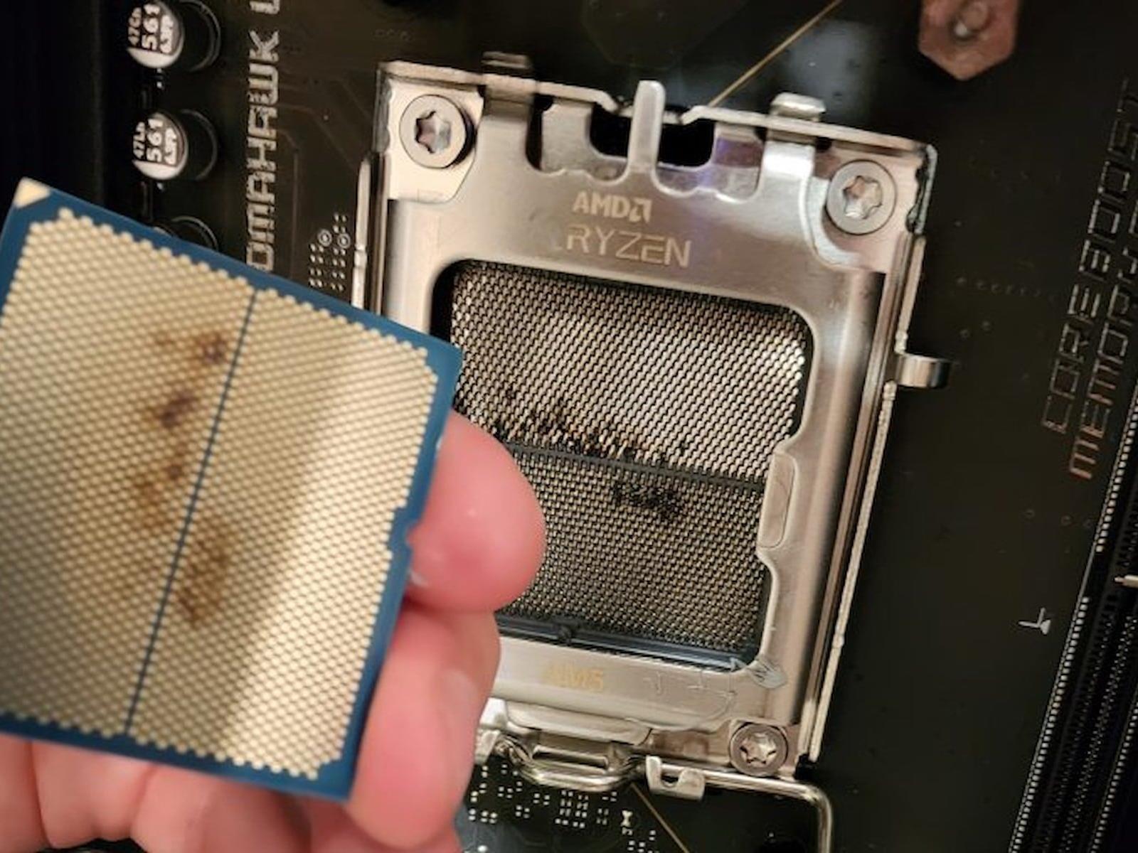 ASUS Breaks Silence On Ryzen 7 9800X3D Failures And Launches Investigation