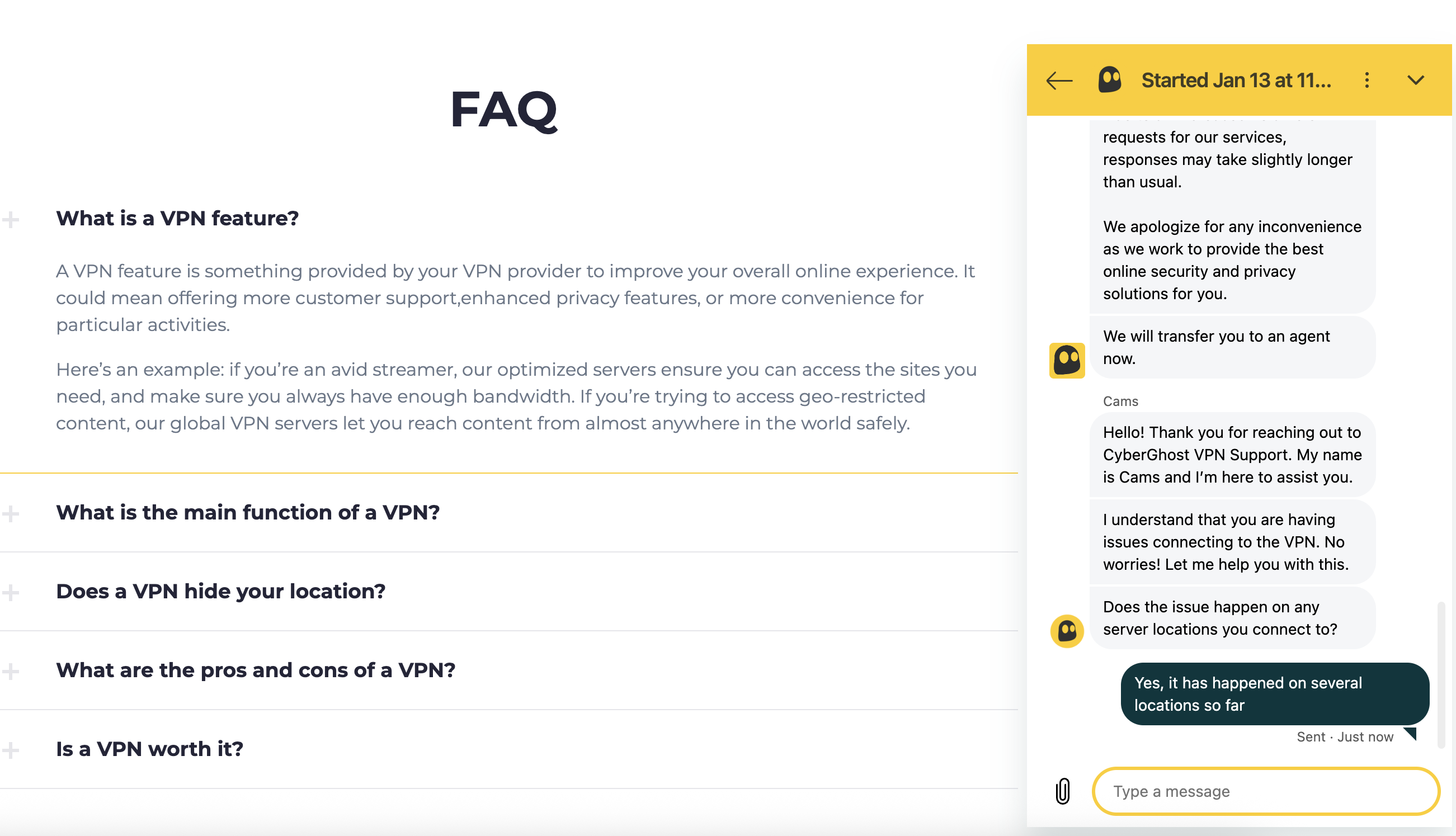It didn't take me too long to get in touch with what was apparently a live expert.