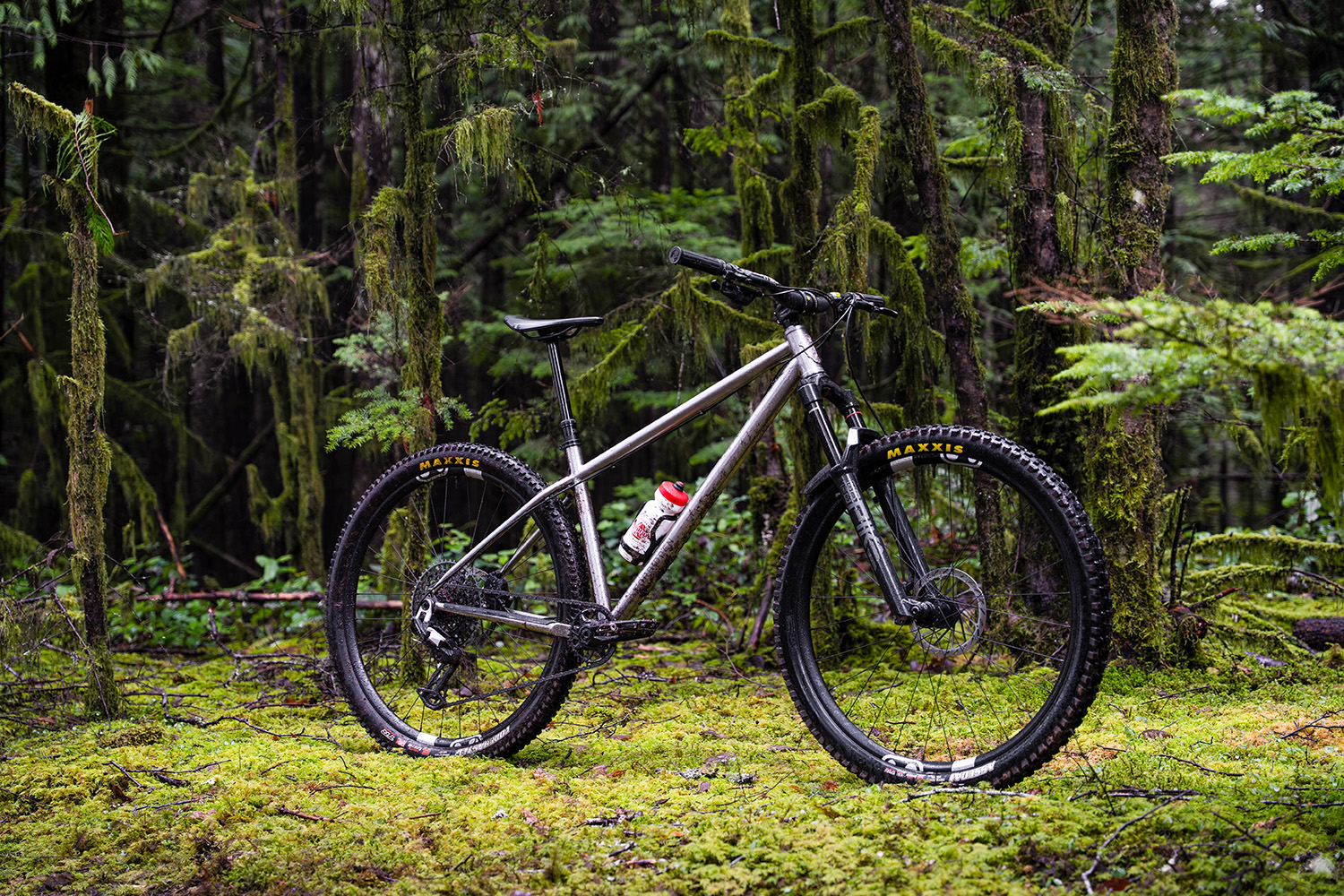 Forbidden Heathen in mossy forest