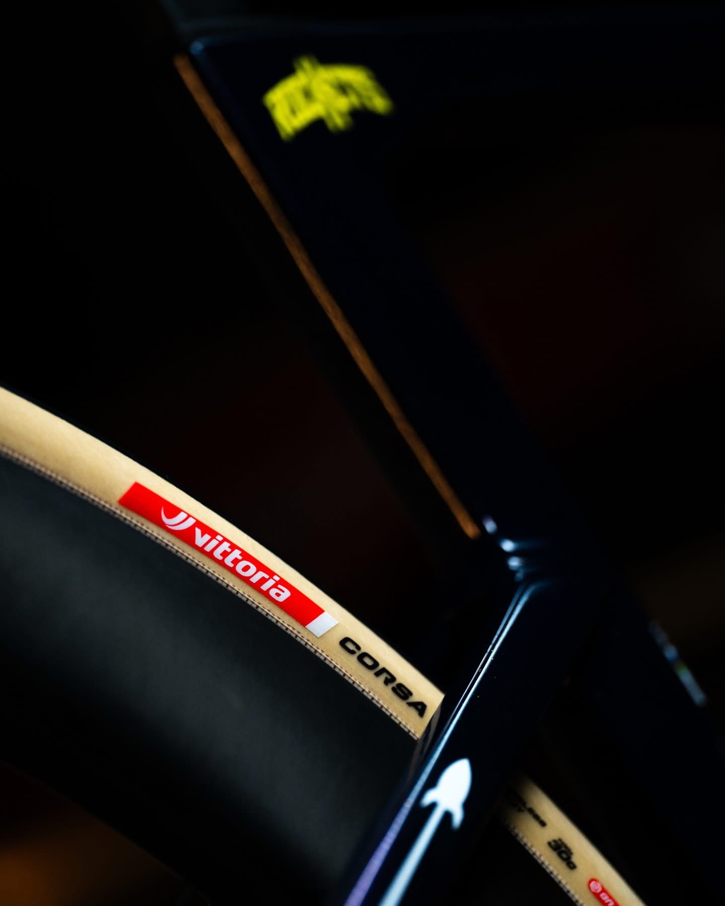 Unreleased Rose Xlite with Vittoria tyres