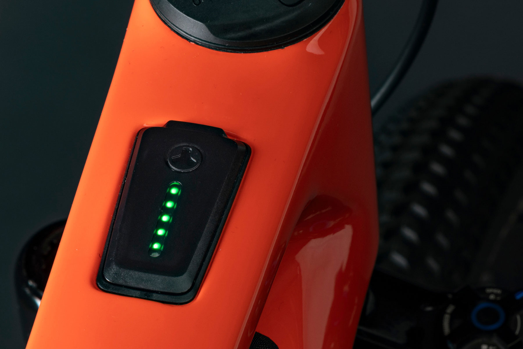 Salsa Wanderosa display