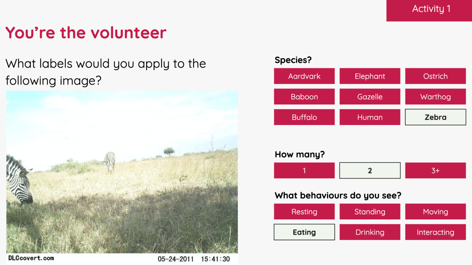 Example activity from the Experience AI resources, focused on ecology