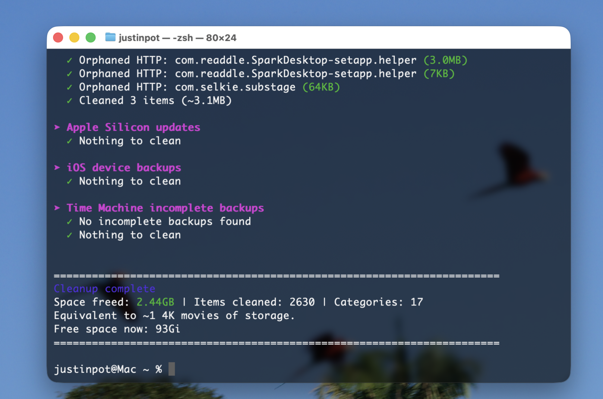 A list of cleaned caches, including Time Machine and iOS backups, is shown in a Terminal window