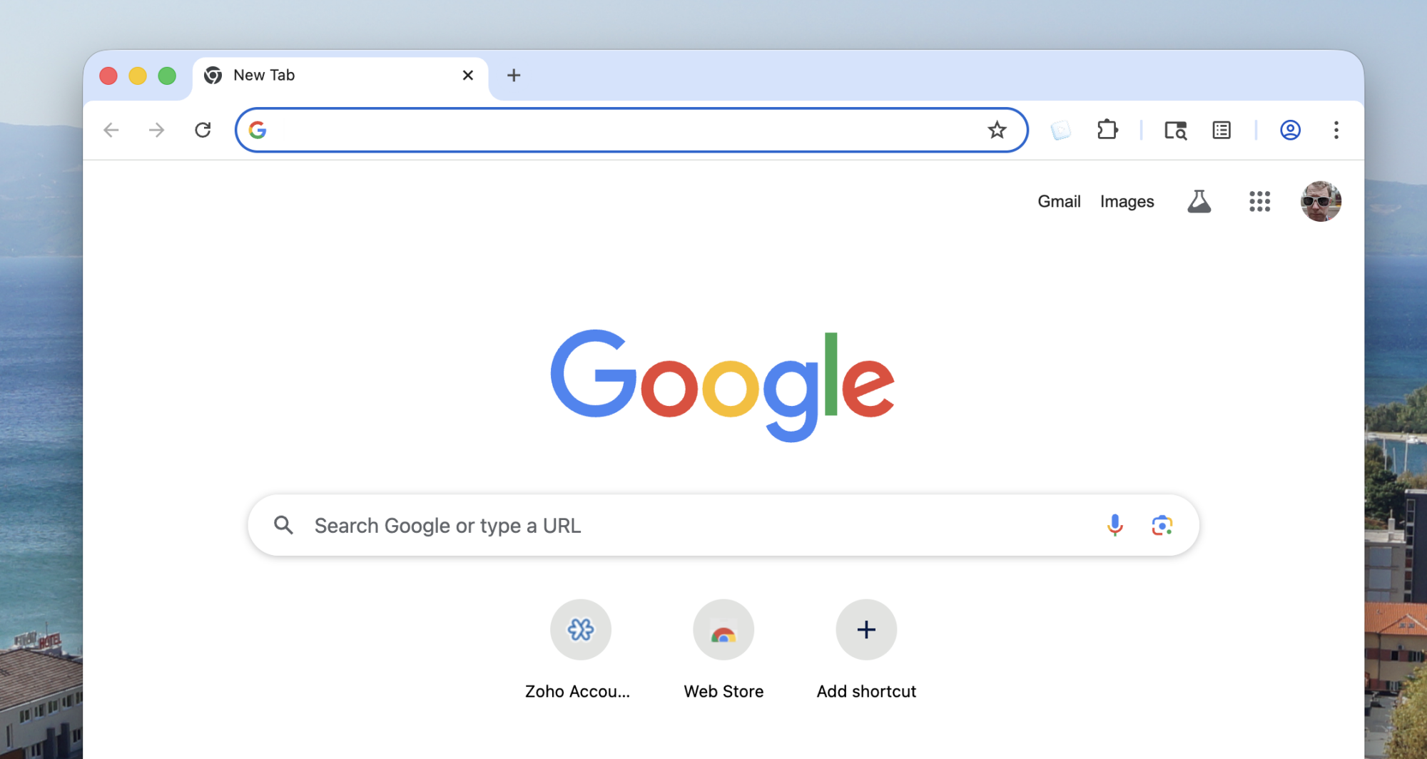 Google Chrome running on macOS without any AI features.