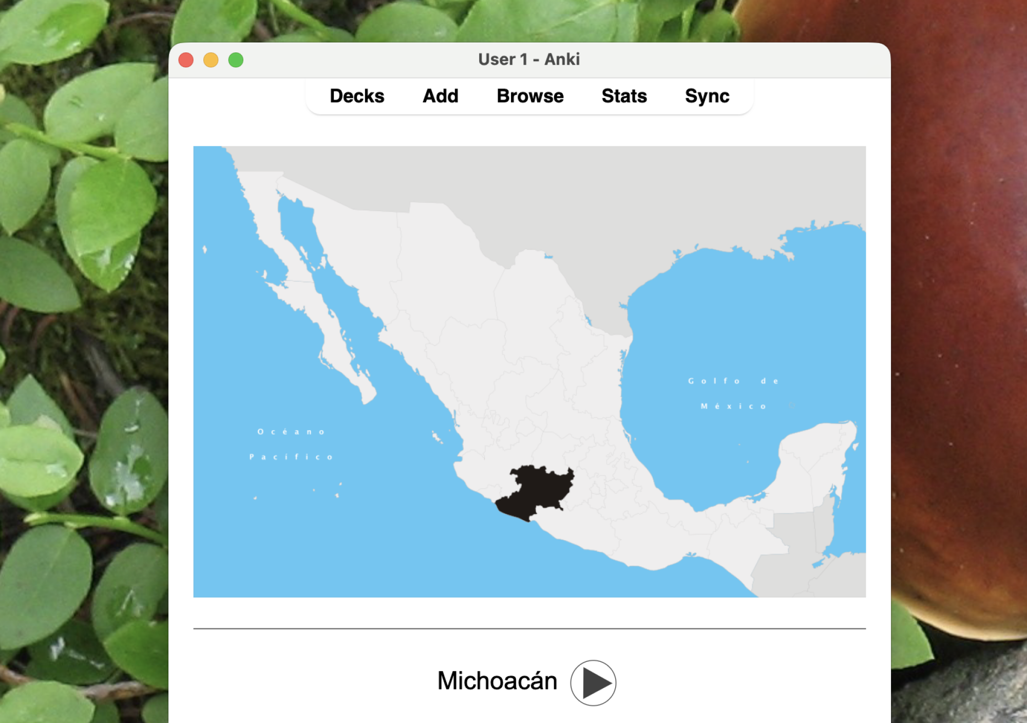 A screenshot of an Anki flash card. The Mexican state of Michoacàn is highlighted