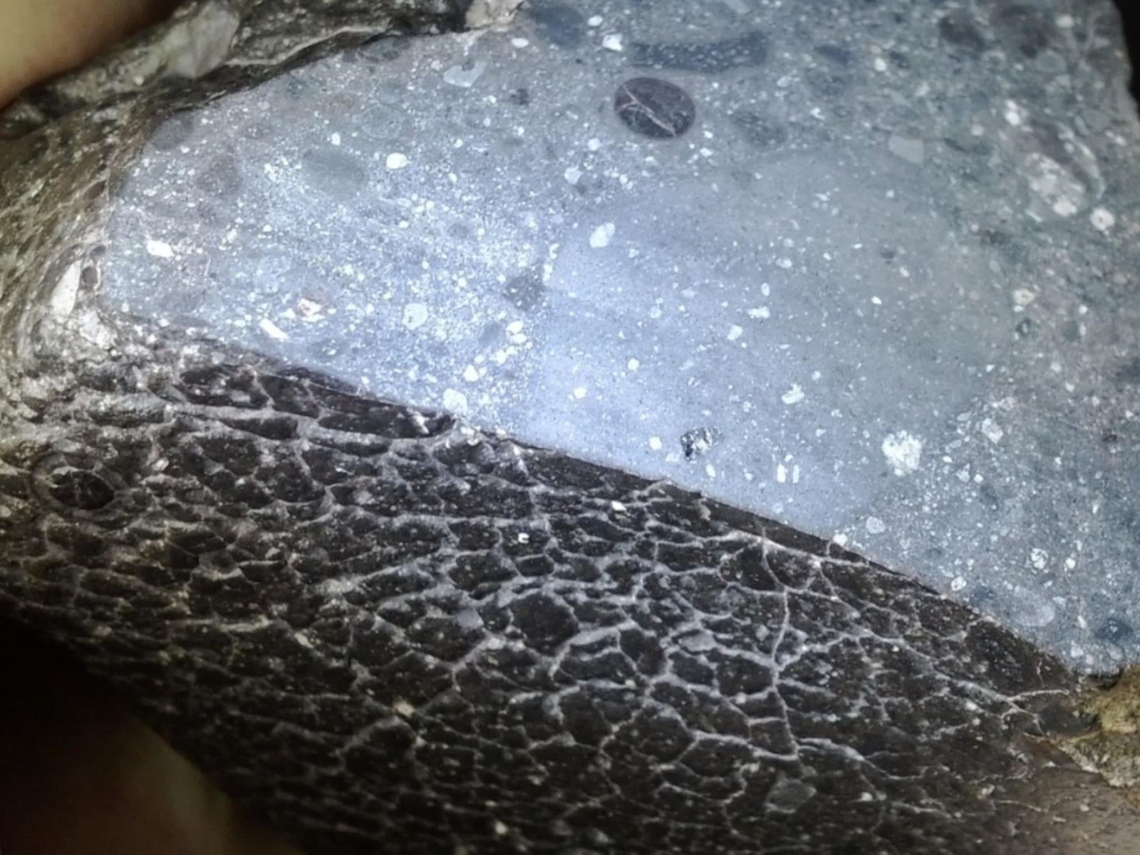 Scans Reveal An Ancient Surprise Hiding In Martian Meteorite That Fell To Earth