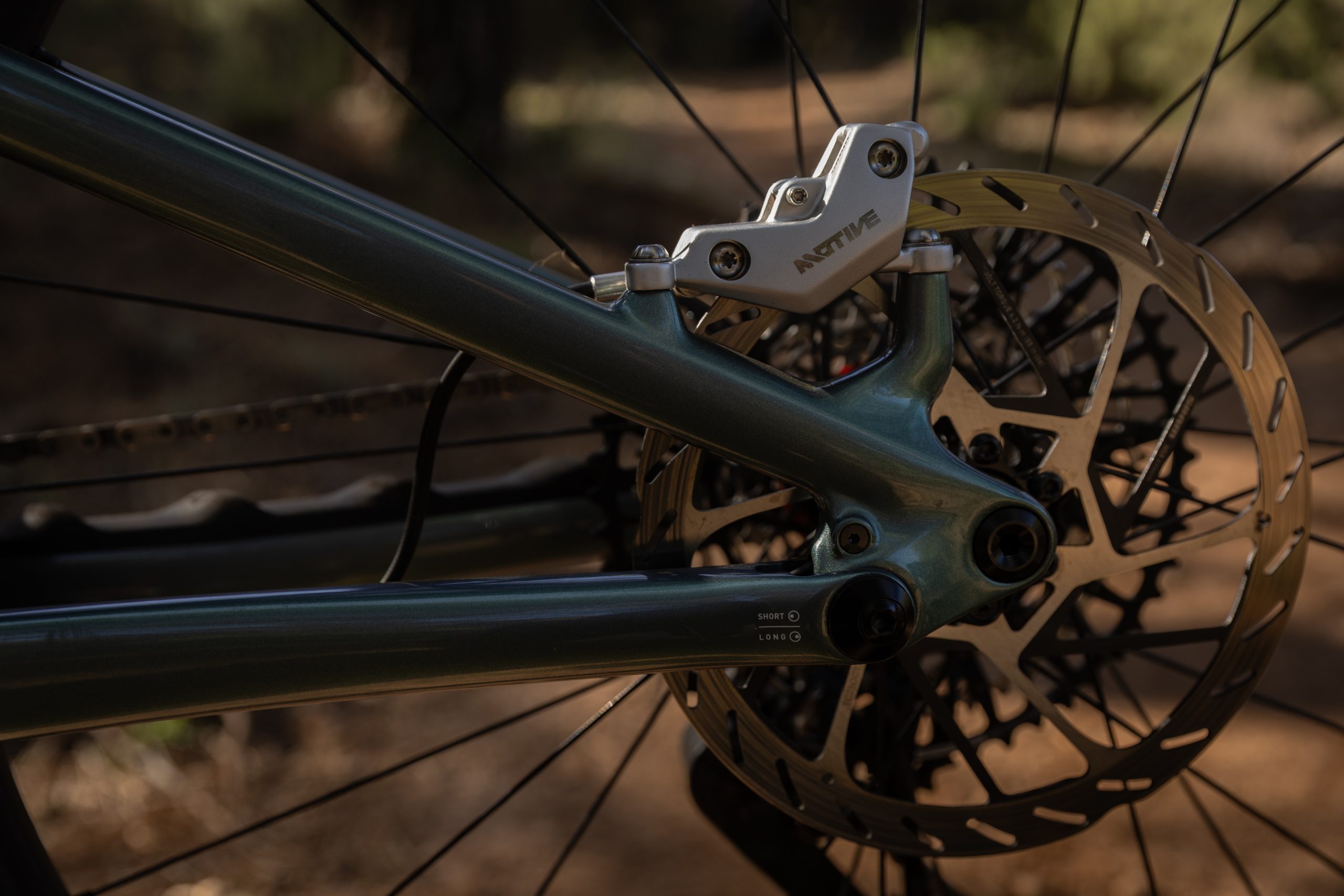 Chainstay flip chip on Levo R eMTB