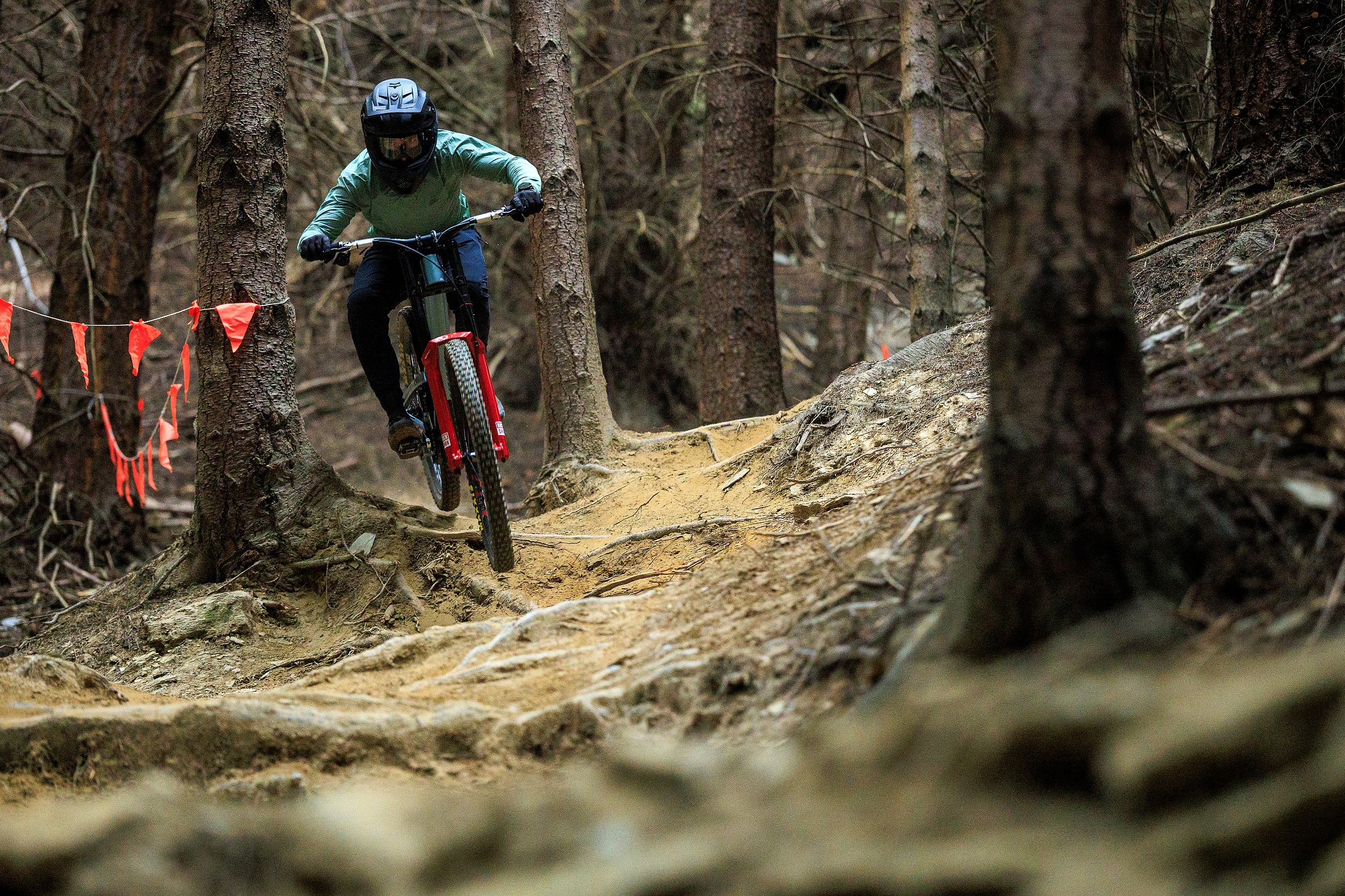 Riding skimming over roots in the Queenstown Bikepark, New Zealand.