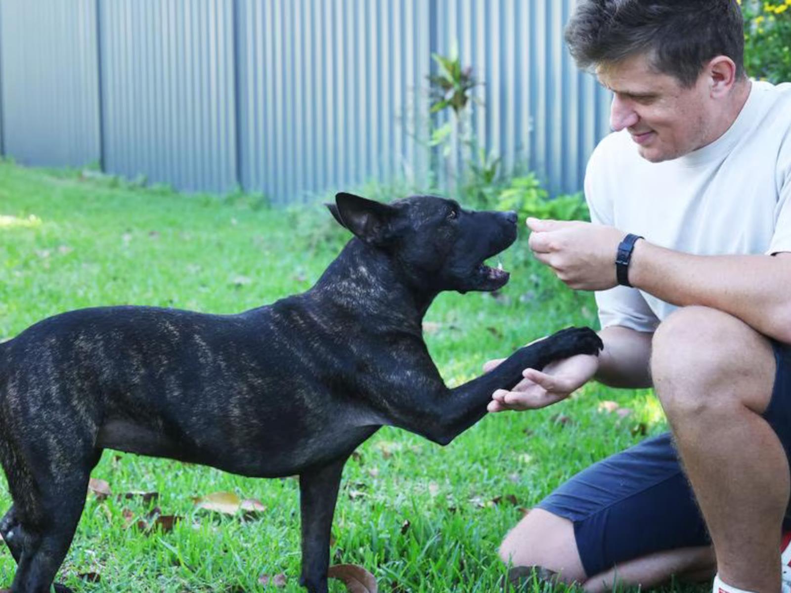 ChatGPT Helps Create AI Cancer Vaccine That Shrinks Dog’s Tumor