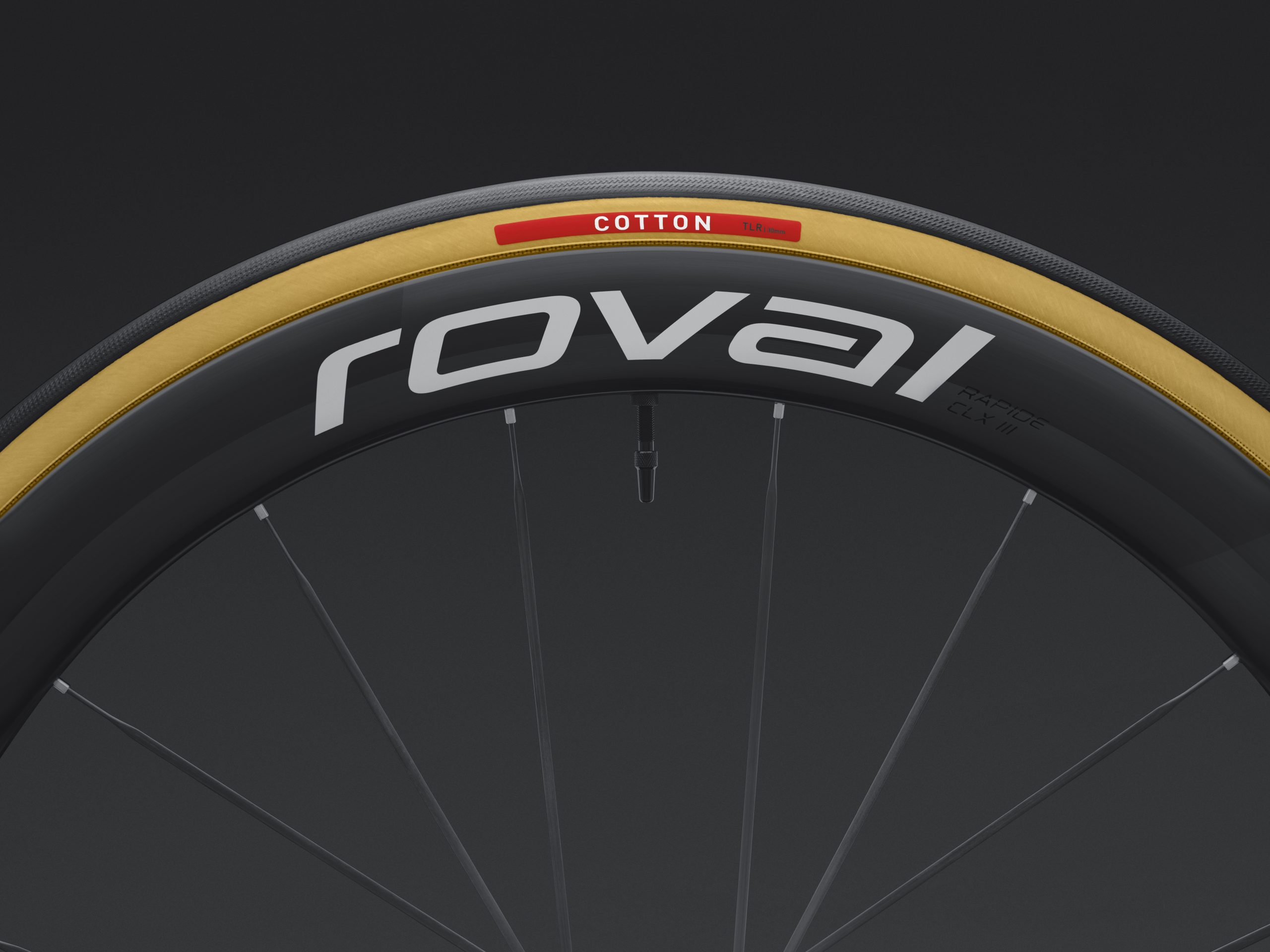 Specialized Cotton TLR tyre