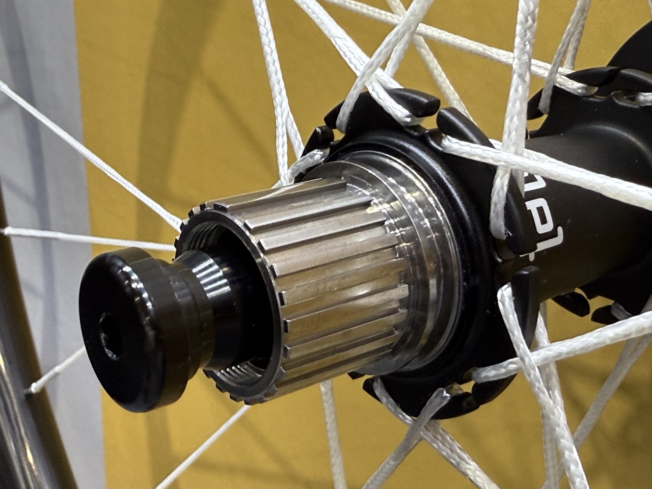 Berd Spokes Hawk32 Gold