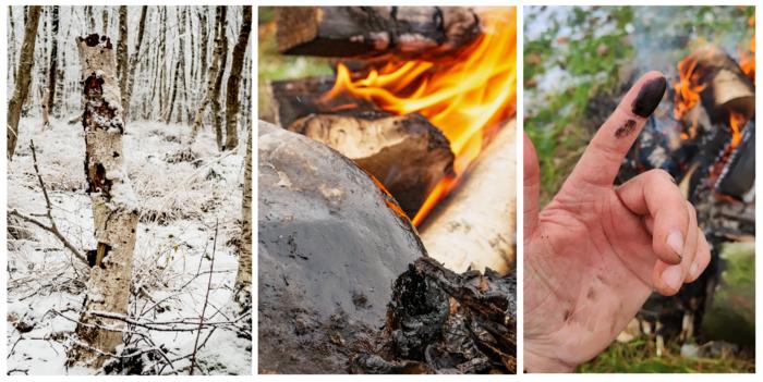 from left to right: a birch tree, a roll of bark on fire, and a hand with sticky black tar on it