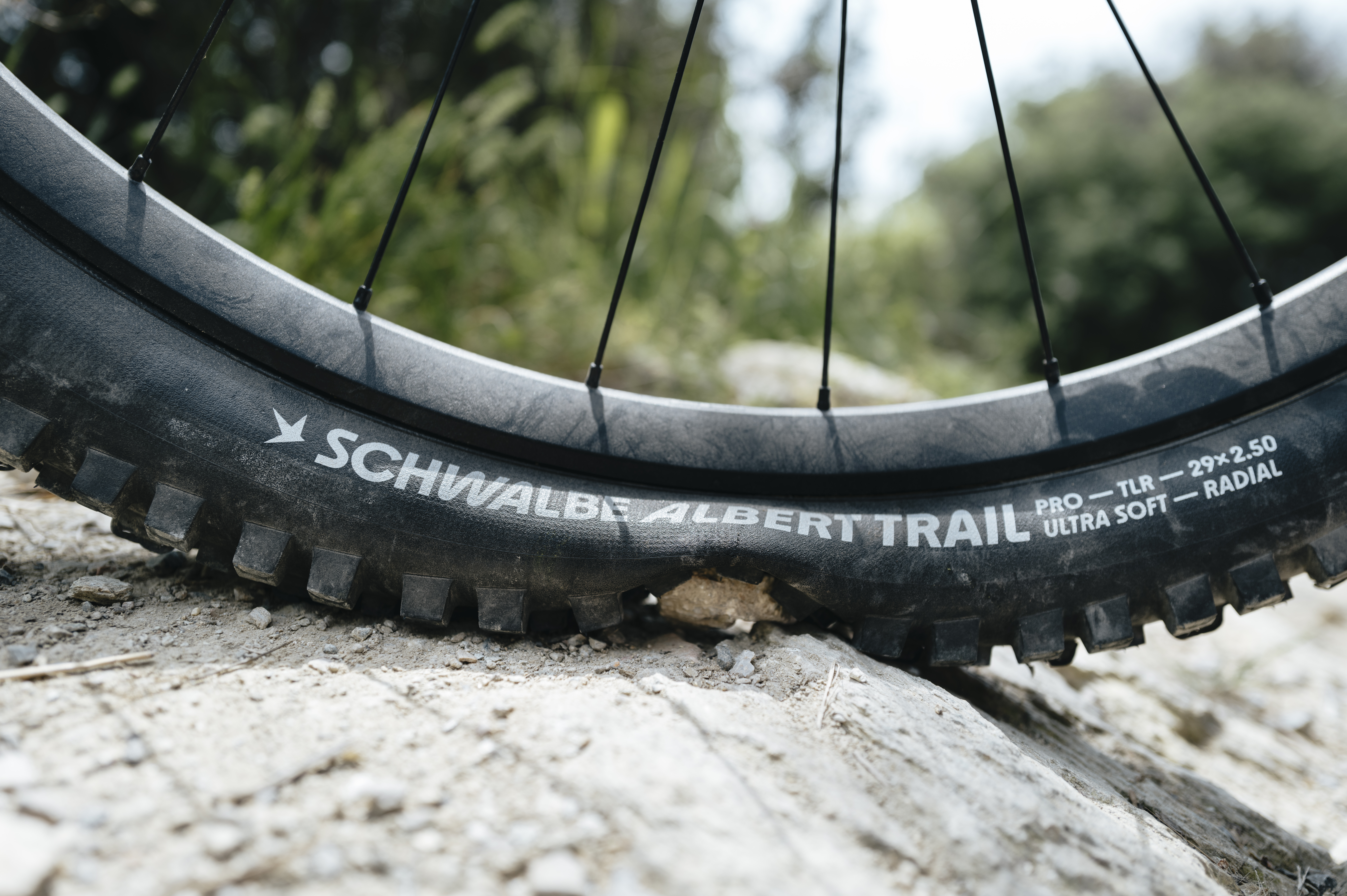 Schwalbe Albert Trail Pro mountain bike tyre