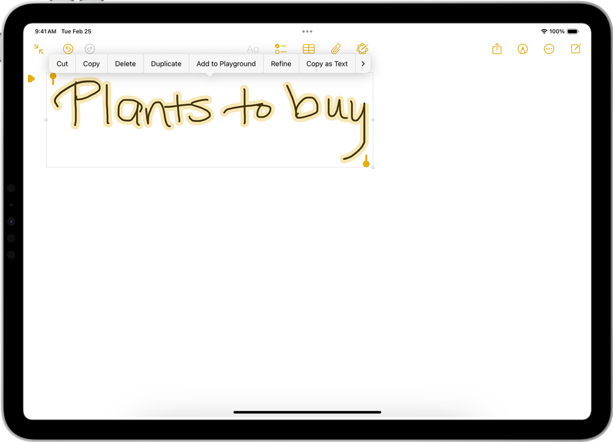 Editing handwritten text using Apple Pencil on iPad.
