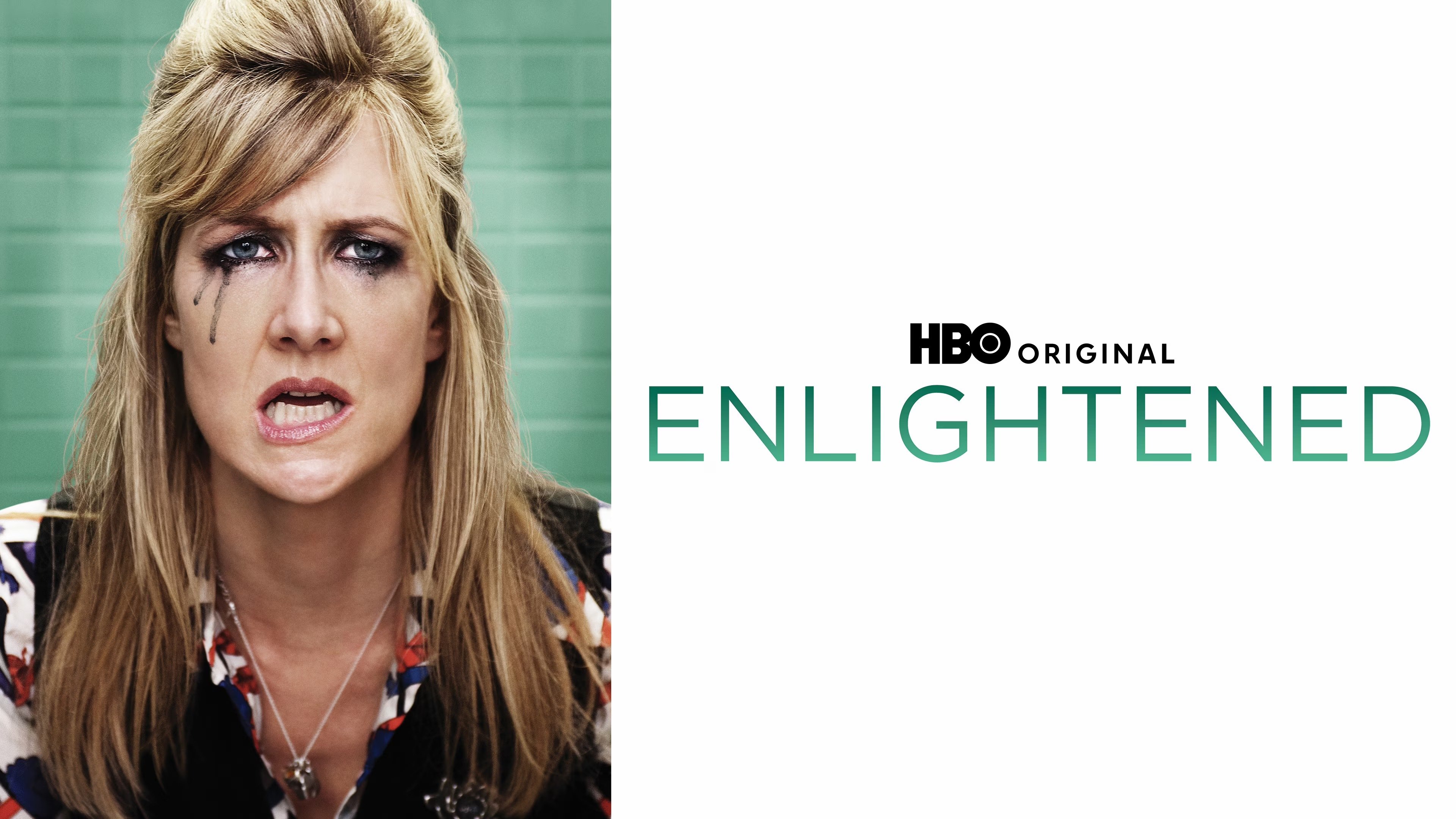 Enlightened (2011 – 2013)