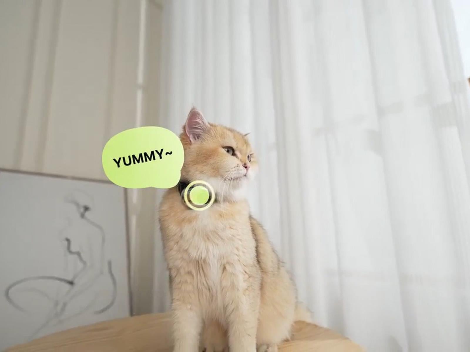 AI Pet Translator Uses Machine Learning To Interpret Dog Barks And Cat Meows